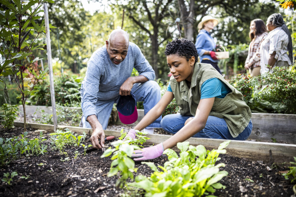 Father and adult daughter working in community garden